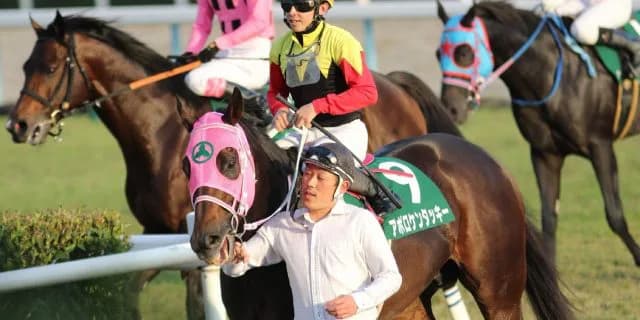 【東京大賞典2018予想】人気急落中のアポロケンタッキー、今回は好走の番か？