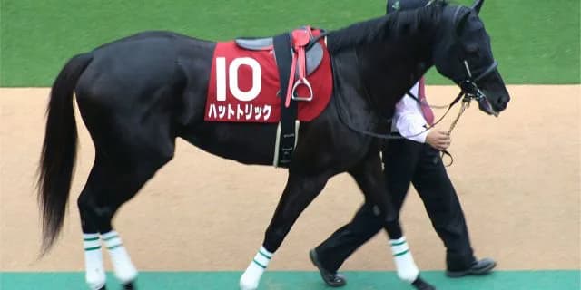 国内外で活躍したハットトリック、ブラジルのけい養先で死亡