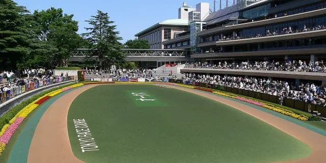 【根岸S予想2020】最終追い切り・調教内容が高評価の馬トップ3は？