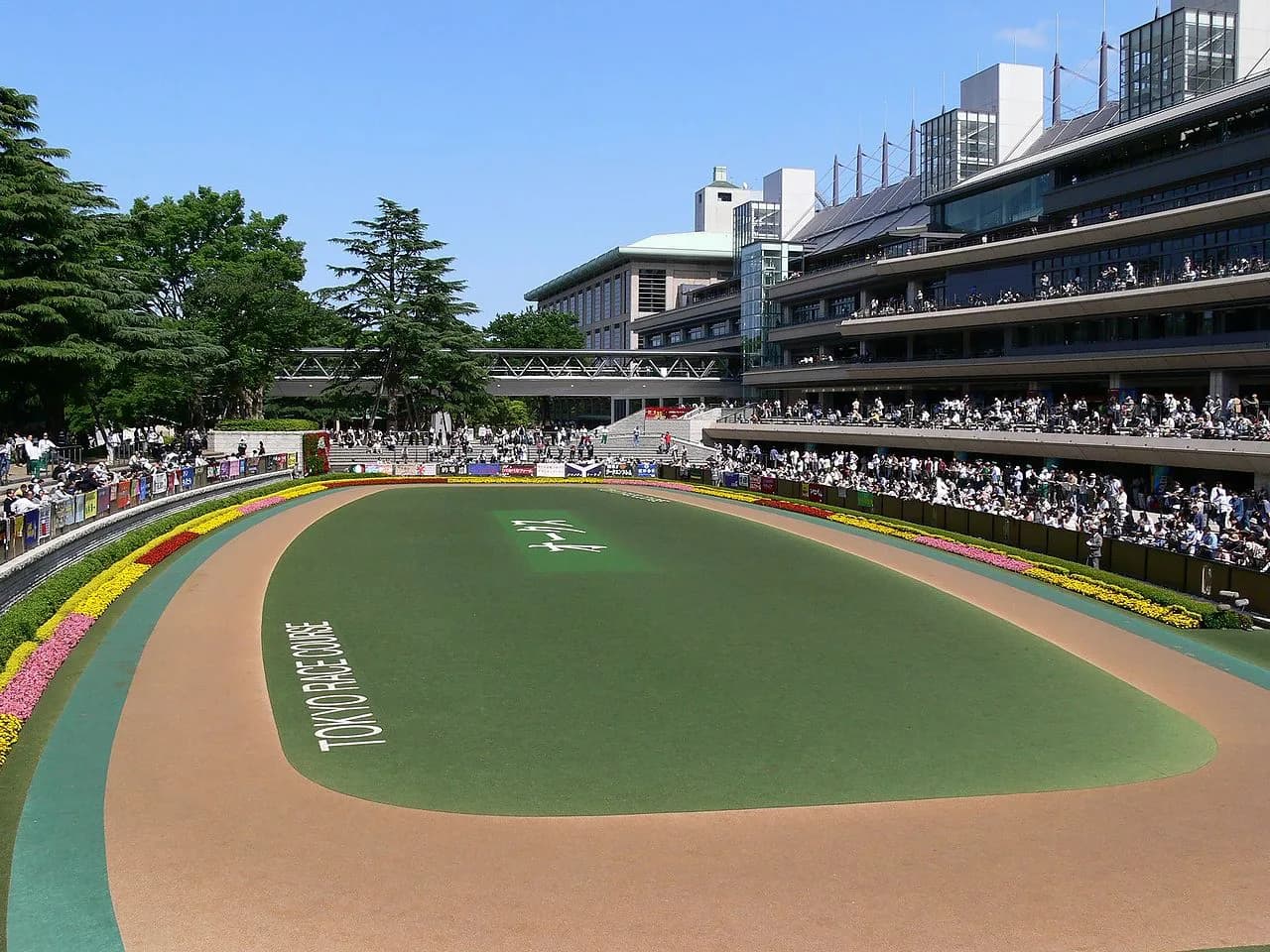 【アルゼンチン共和国杯2018予想】ノーブルマーズなど有力馬4頭を考察