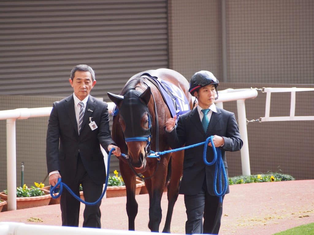 【高松宮記念2017予想】シュウジ、折り合えさえすれば