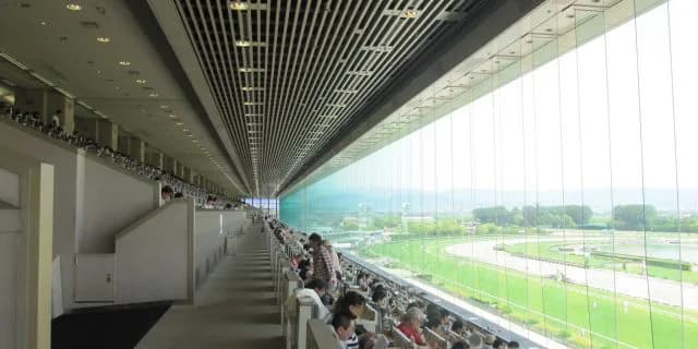 JRAジャパンCの指定席に5万人が応募