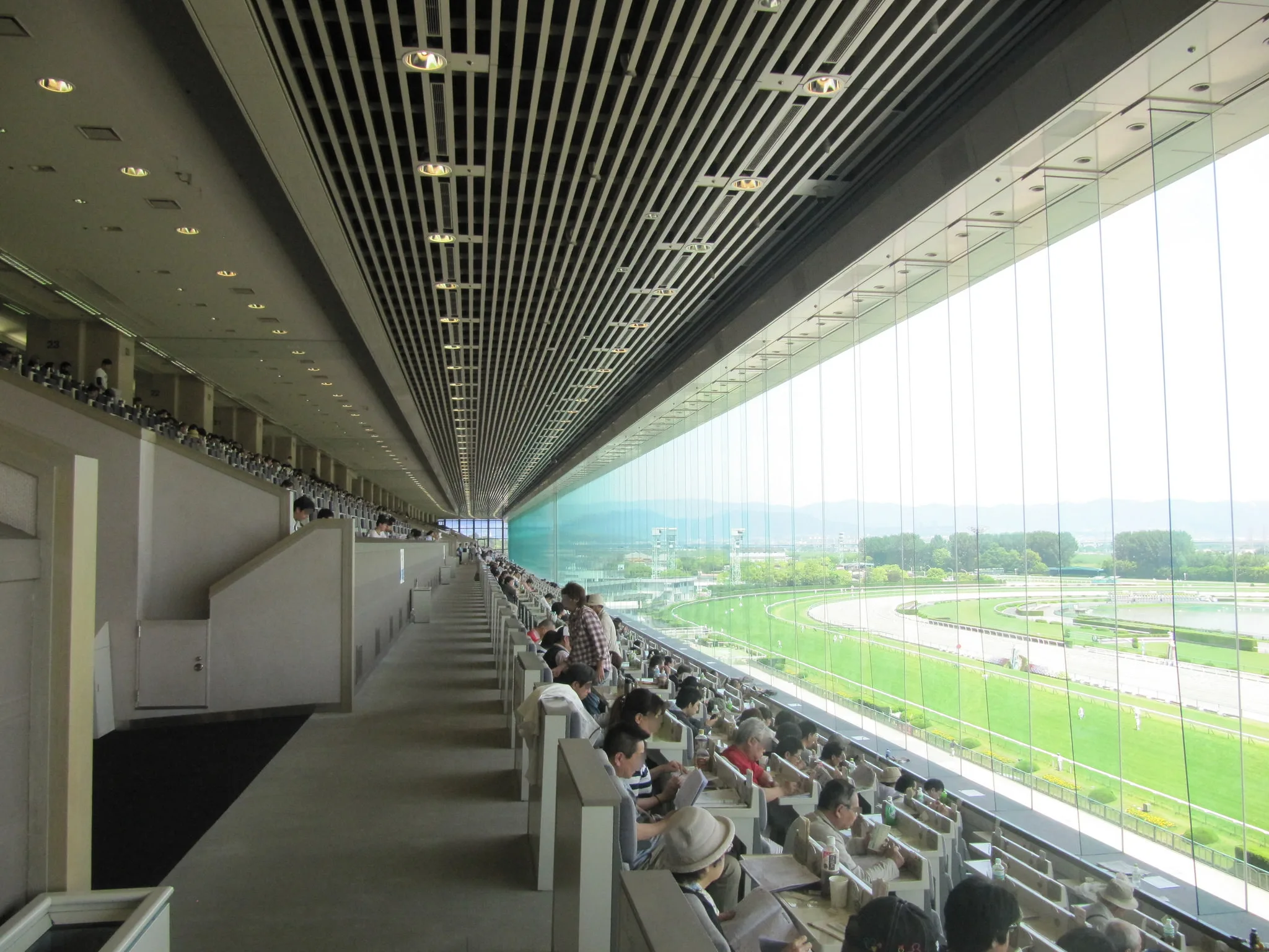 競馬場の指定席のメリット・デメリットとは？