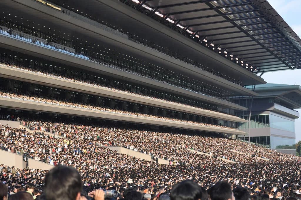 今週は3日間開催！競馬ファンにとってはたまらない週末が続く！