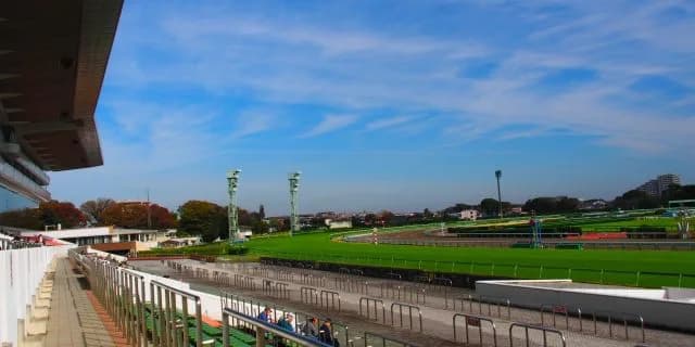 【皐月賞2017結果】アルアイン優勝！松山騎手G1初勝利！