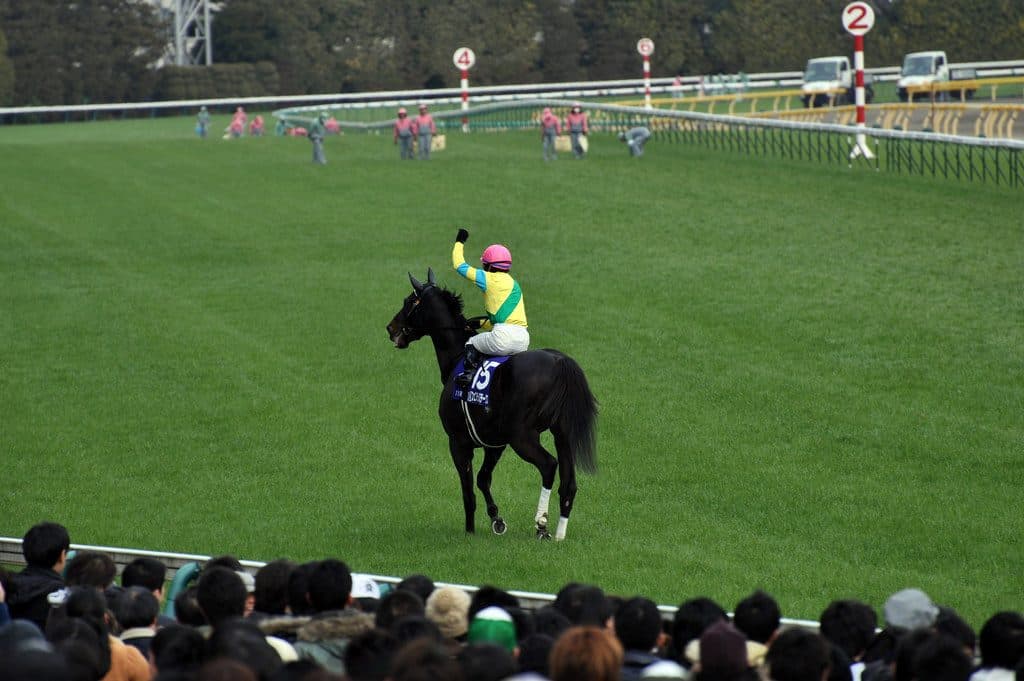 【大阪杯2017】初代王者は一体誰だ？豪華すぎる第一回目開催