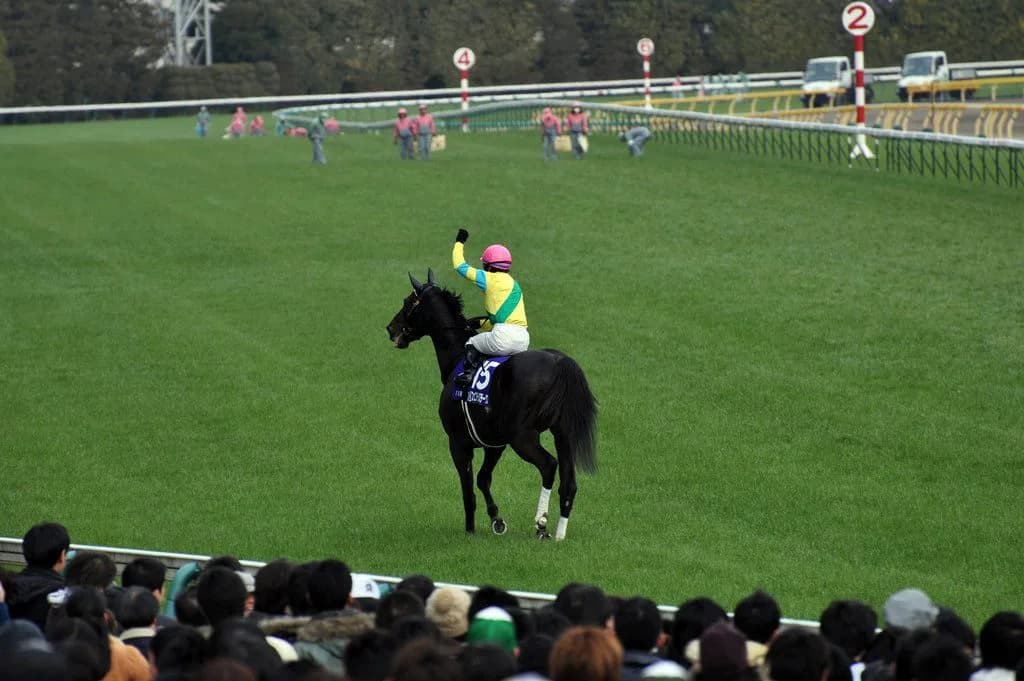 【大阪杯2017】初代王者は一体誰だ？豪華すぎる第一回目開催