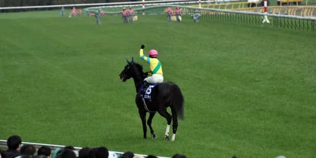 【大阪杯2017】初代王者は一体誰だ？豪華すぎる第一回目開催