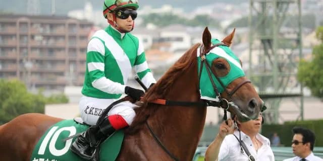 【金鯱賞2017結果】ヤマカツエース差し切りＶ！連覇達成！