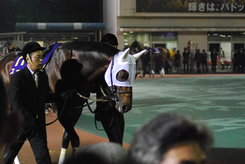 JBC競走、2018年はJRA主催!今後のダート競馬はどうなる?