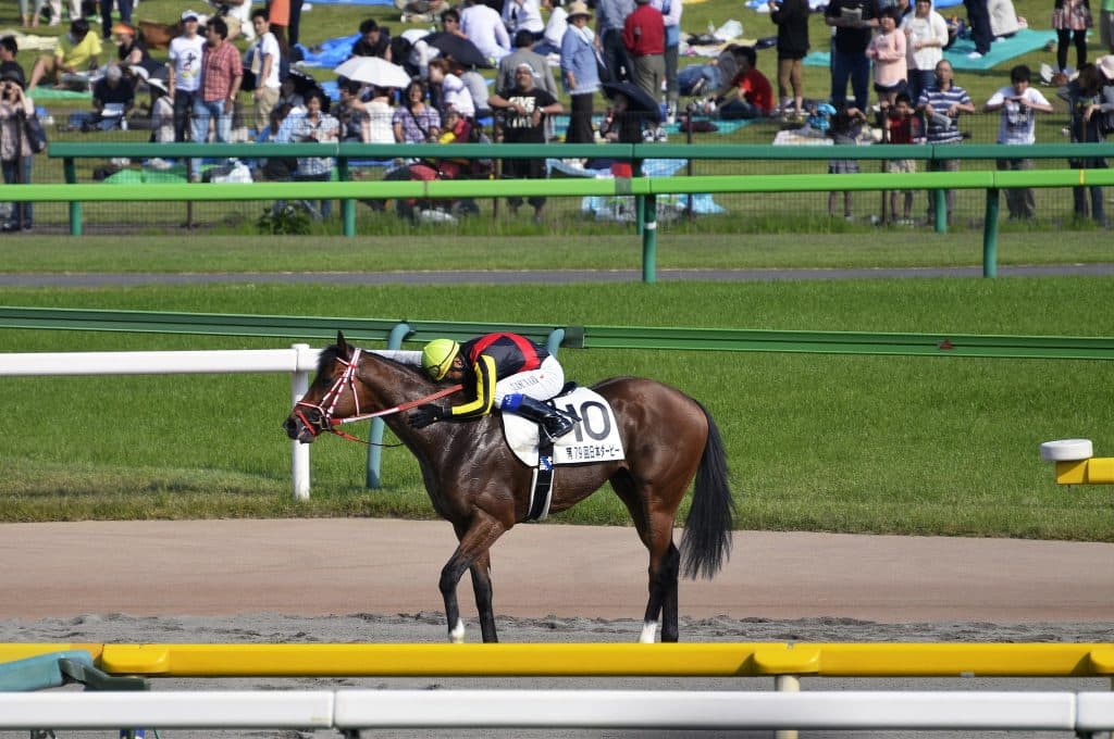【JRA】夢は〝3世代ダービー制覇〟のディープブリランテ