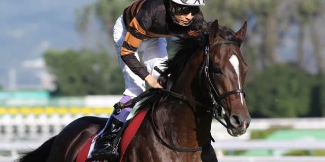 JRAキタサンブラック、2020年度顕彰馬に