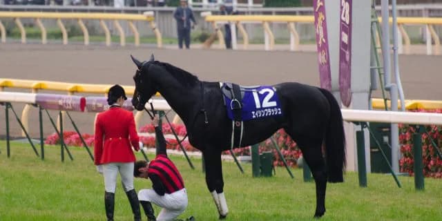 “漆黒のダービー馬”エイシンフラッシュ、種牡馬としても復権なるか？