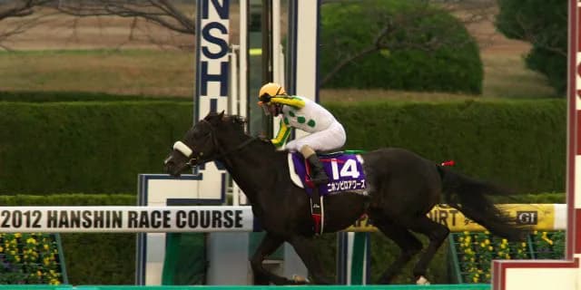 【阪神競馬予想2017】荒れるとすればココ！阪神12Rはニホンピロシナバー