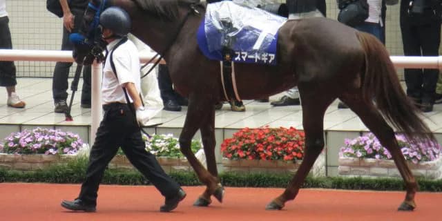 スマートギア、12歳で現役引退。岡田スタッドへ繋養