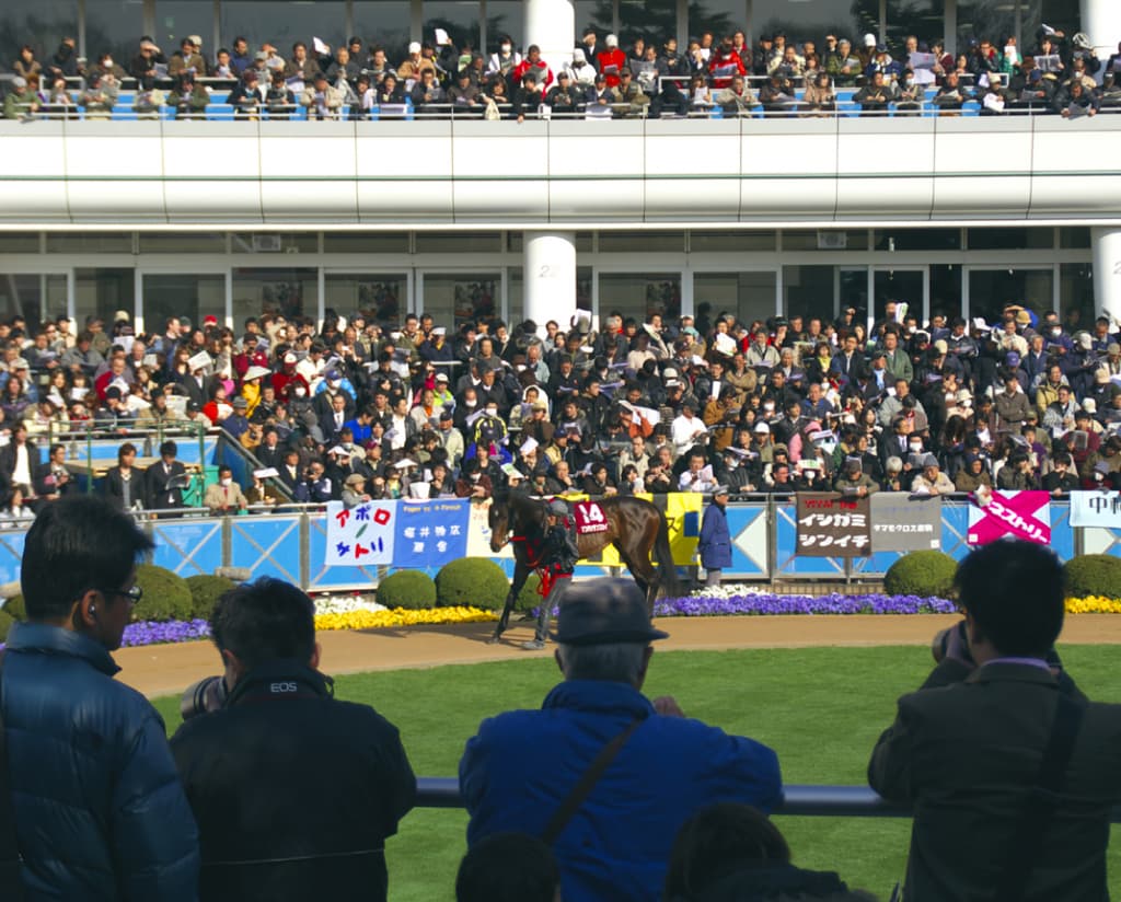 競馬が好きになる理由はひとそれぞれ