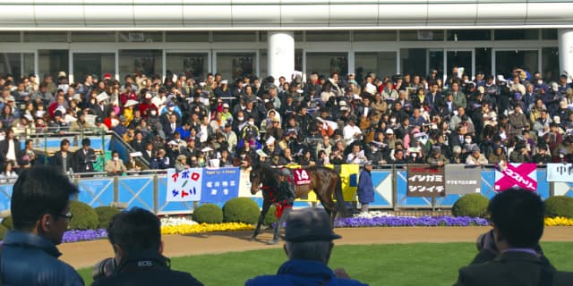 競馬が好きになる理由はひとそれぞれ