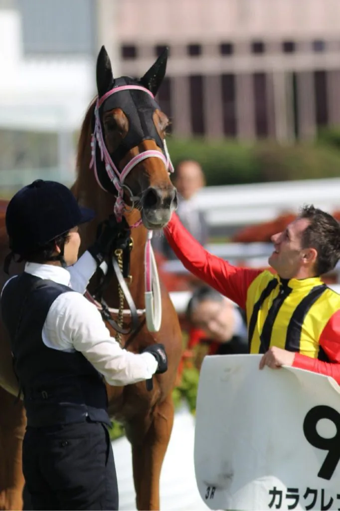 【フィリーズR結果2017】カラクレナイ重賞初V！ミルコはこれで6週連続日曜メイン優勝！