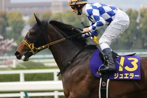 ジュエラー引退、繁殖牝馬に。骨折判明で復帰は叶わず