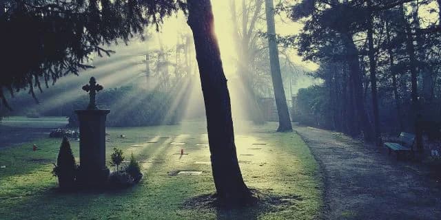 サラブレッドは走るために生まれてきたのか？イギリスで起きたレース後の悲劇