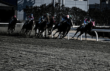 【マリーンカップ結果2017】ホワイトフーガ、3馬身差つけ完勝！