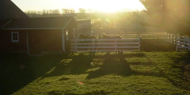 【仁川S予想2017】ファハド殿下の悲願達成は芝よりダートが先になるか？