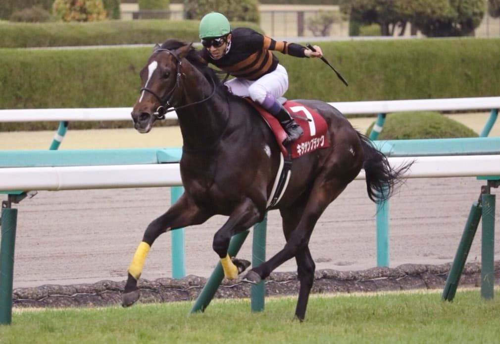 【大阪杯2017予想】キタサンブラック、今回も展開利見込める