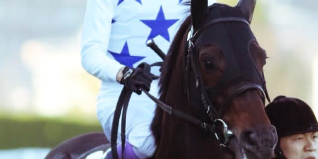 2億5200万円の良血ロイカバード、種牡馬入り