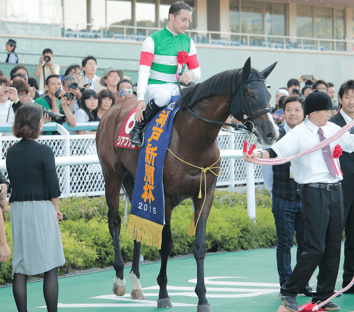 リアファル、右前脚怪我で金鯱賞を回避