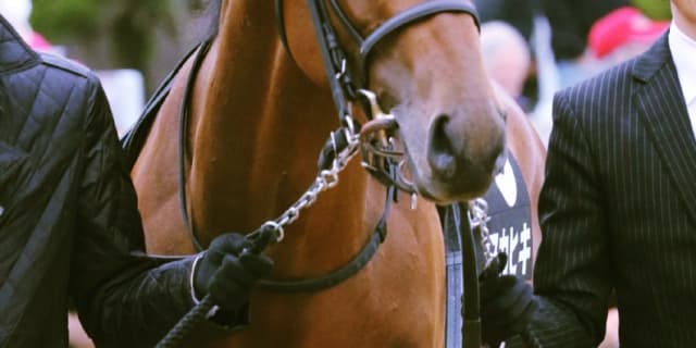 マカヒキ、秋は毎日王冠から！このままでは終われない