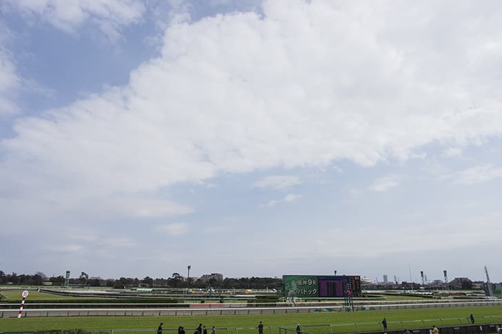 中山競馬場の”ゴンドラ席”の魅力とは？