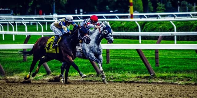 【新潟2歳S予想2019】調教・最終追い切りが高評価の馬トップ3