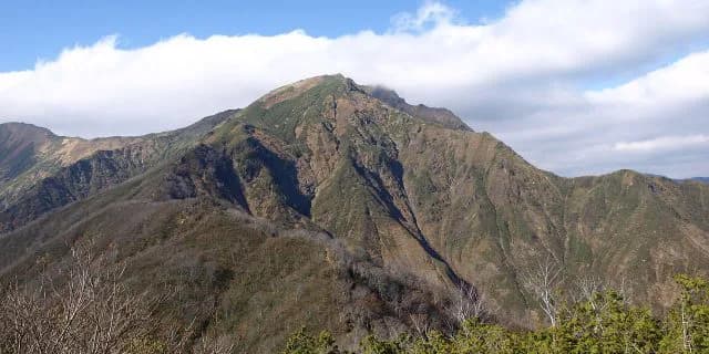 谷川岳ステークス、重賞には少し足りない馬が集結。