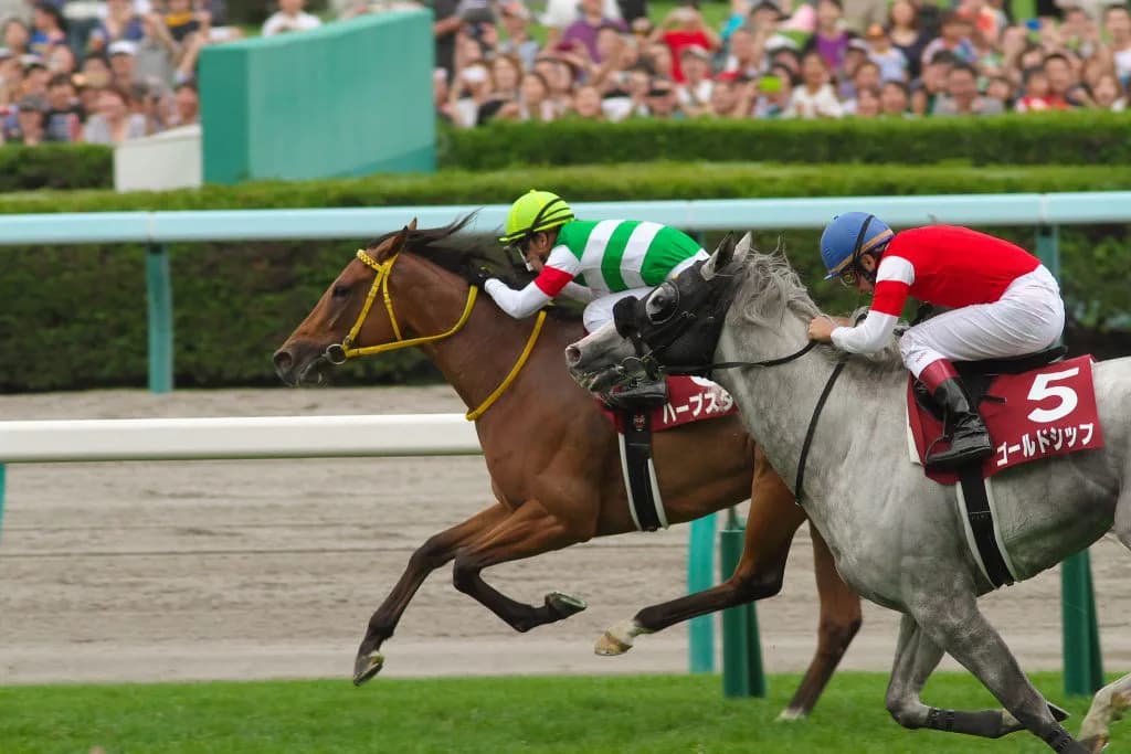 【忘れな草賞2017予想】関東馬鬼門のレースに挑む良血イストワールファム