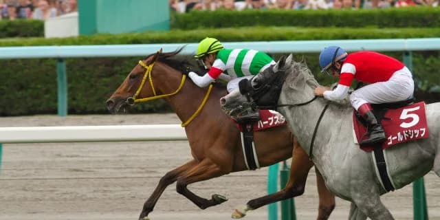 【忘れな草賞2017予想】関東馬鬼門のレースに挑む良血イストワールファム