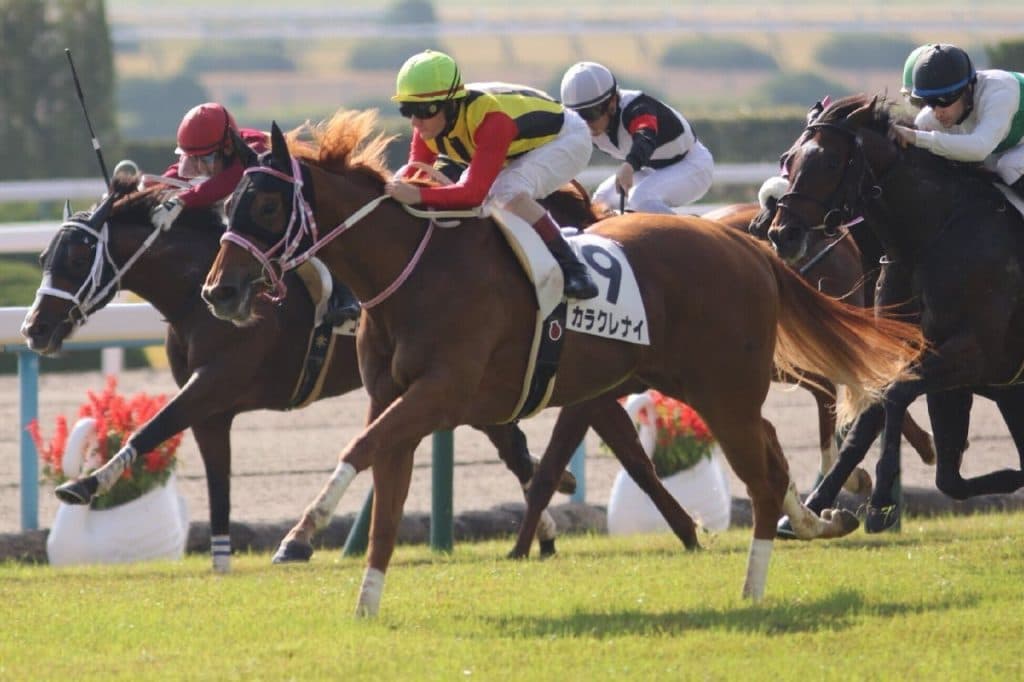 【桜花賞2017予想】カラクレナイ距離適性の壁は問題ないか？