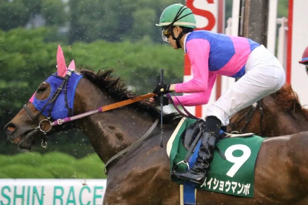 メイショウマンボが引退、繁殖牝馬に