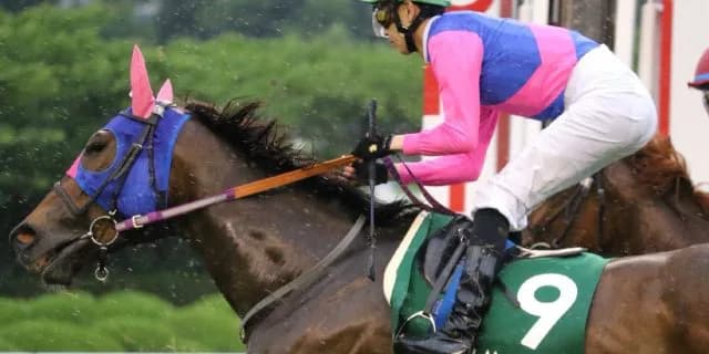 メイショウマンボが引退、繁殖牝馬に