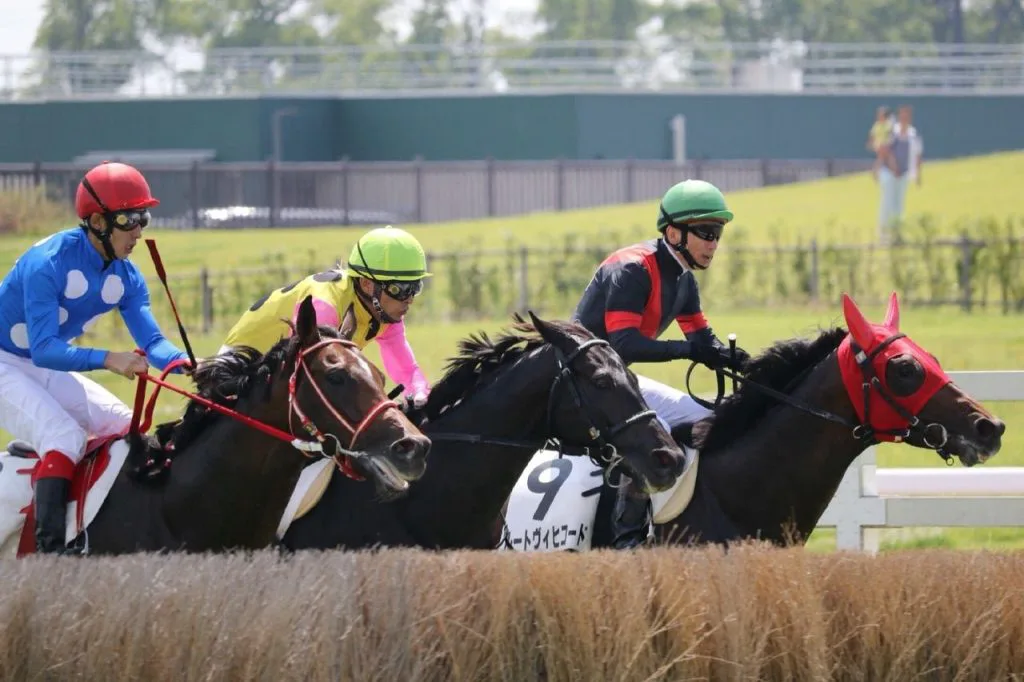 【東京ジャンプS予想2020】成長力十分のハルキストンが昨年の雪辱を果たす！