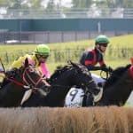 【秋陽ジャンプS予想2025】スタミナと経験が勝負を分ける！存在感あるベテラン勢に注目