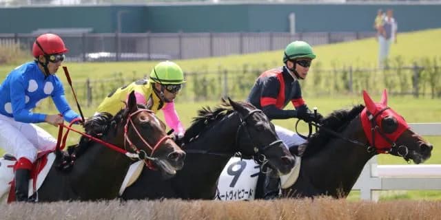 【秋陽ジャンプS予想2025】スタミナと経験が勝負を分ける！存在感あるベテラン勢に注目