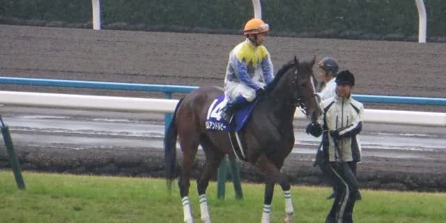 【阪神牝馬S予想2017】デニムアンドルビー反撃の狼煙あげるならここ！