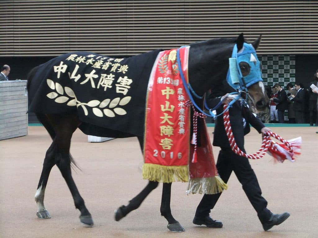 【南武特別2018予想】オジュウチョウサン、有馬記念へ向け負けられない戦い