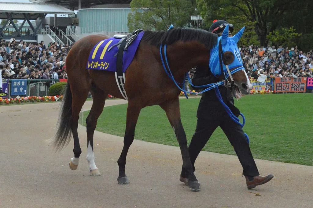 レインボーライン、引退。種牡馬へ
