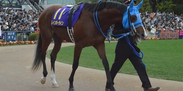 【天皇賞・春2017予想】大物食いの気配漂うタフなオールラウンダー、レインボーライン