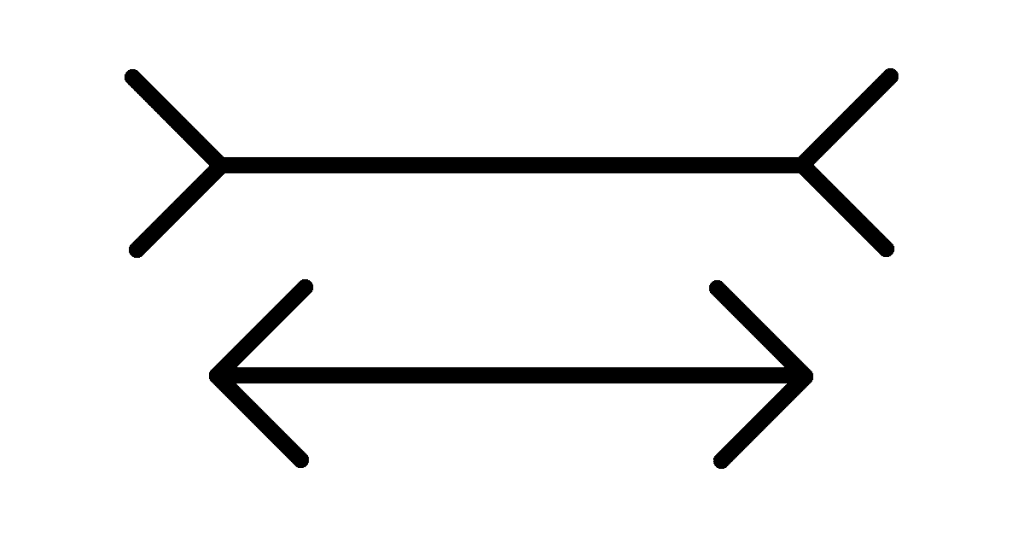 【端午S予想2017】戦ってきた相手が違う！シゲルベンガルトラ距離短縮で飛躍なるか