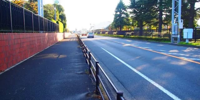 東中山駅から行く中山競馬場の”裏”ルート