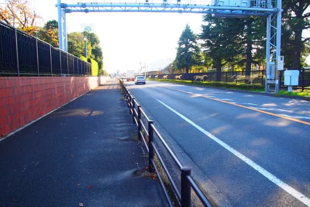 東中山駅から行く中山競馬場の”裏”ルート