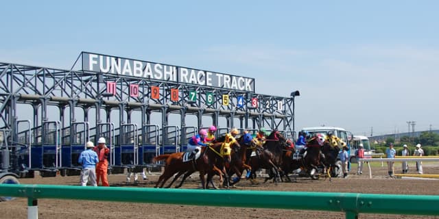 【マリーンカップ2017注目馬】ダートで覚醒！タイトル奪取だパールコード！