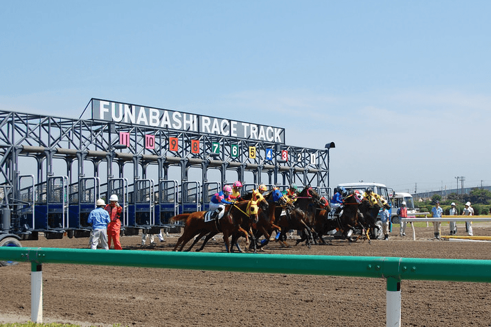 【マリーンカップ2017注目馬】ダートで覚醒！タイトル奪取だパールコード！